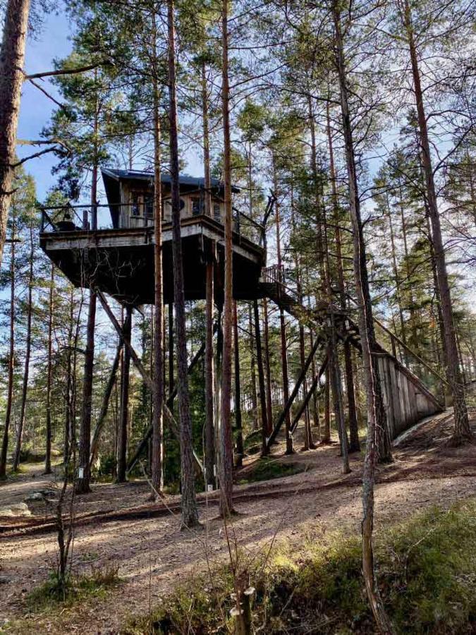 Tretopphytter Pa Grensen - Elghytta Med Robat Og Gjeddefiske Галден Екстер'єр фото