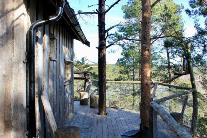 Tretopphytter Pa Grensen - Elghytta Med Robat Og Gjeddefiske Галден Екстер'єр фото