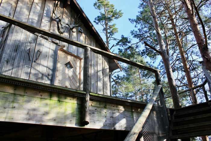 Tretopphytter Pa Grensen - Elghytta Med Robat Og Gjeddefiske Галден Екстер'єр фото